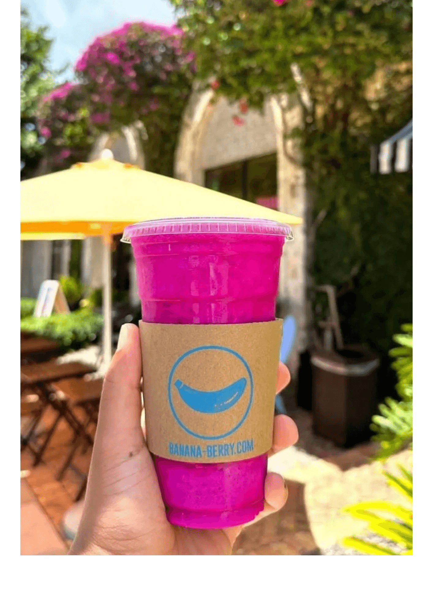 Bright pink pitaya smoothie from Banana Berry